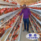 H Tipi Pil Katmanlı Tavuk Kafesi Otomatik Yumurta Tavuk Çiftlikleri